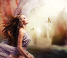 Butterfly Light