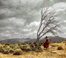 Landscape Landscape
