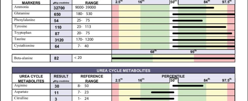 Amino Acids Urine-page-003