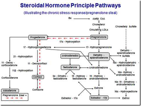 what hormone does the adrenal gland release