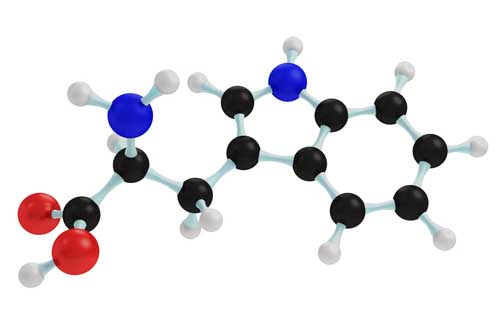 Tryptophan-illustration